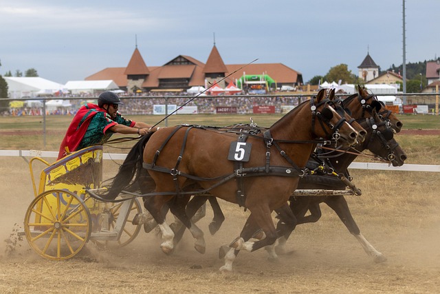 个人魅力与 个人魅力与